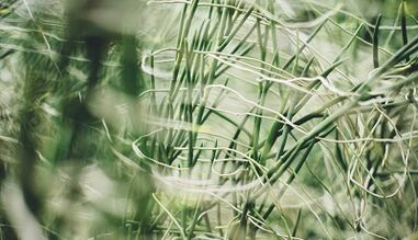 Kuinka tehdä onnen amuletti omin käsin