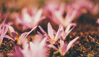 kuinka tehdä onnen amuletti omin käsin