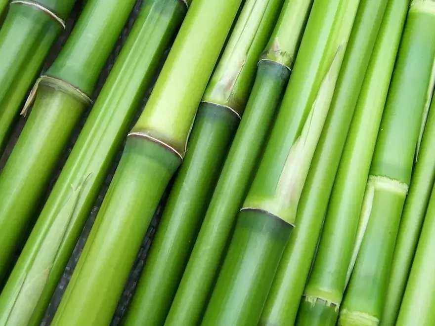 onnea amuletti - bambu
